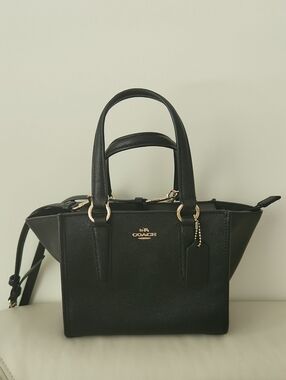 COACH 2017 Mini Crosby Carryall 21 Crossbody